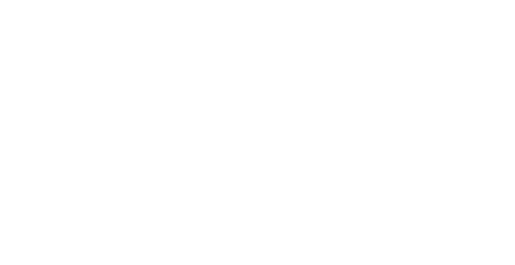 VoltVision Electric